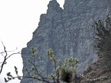 24 Ferrata MAURIZIO Anticima est Monte Alben